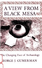 A VIEW FROM BLACK MESA:THE CHANGING FACE OF ARCHAEOLOGY