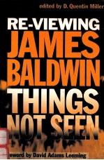 RE-VIEWING JAMES BALDWIN:THINGS NOT SEEN