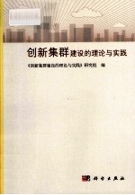 创新集群建设的理论与实践