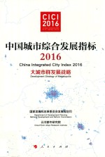 中国城市综合发展指标2016  大城市群发展战略