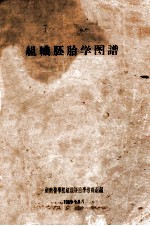 组织胚胎学图谱