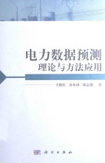 电力数据预测理论与方法应用