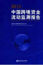 2012年中国跨境资金流动监测报告