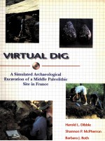 VIRTUAL DIG:A SIMULATED ARCHAEOLOGICAL EXCAVATION OF A MIDDLE PALEOLITHIC SITE IN FRANCE