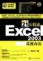 21天精通Excel 2003高效办公  双色版