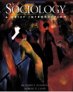 SOCIOLOGY  A BRIEF INTRODUCTION  SECOND EDITION