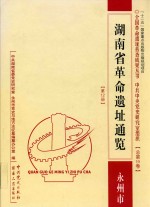 湖南省革命遗址通览 永州市 第12册 总第19卷