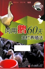 肉用鹅60天出栏养殖法