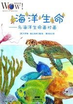 海洋生命  与海洋生命面对面