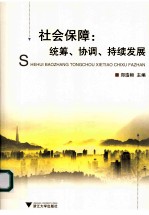 社会保障  统筹、协调、持续发展