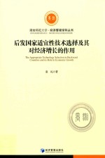 后发国家适宜性技术选择及其对经济增长的作用研究