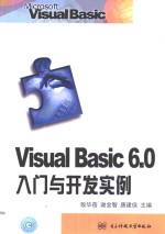 Visual Basic 6.0入门与开发实例