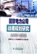 国家电力公司战略规划研究  1999-2001