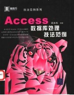 Access数据库处理技法范例