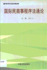 国际民商事程序法通论