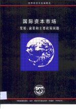 国际资本市场  发展、前景和主要政策问题