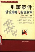 刑事案件诉讼策略与实例点评