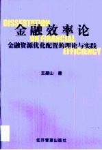 金融效率论  金融资源优化配置的理论与实践