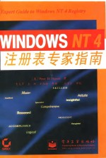 Windows NT4注册表专家指南