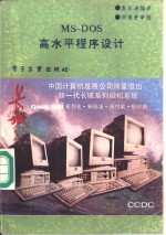 MS-DOS高水平程序设计