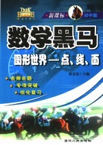 新课标  初中版  数学黑马  图形世界-点、线、面