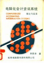 电脑化会计资讯系统  理论与实务