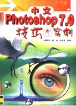 中文Photoshop 7.0技巧与实例