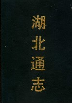 湖北通志  第3册