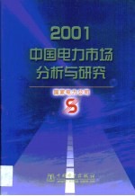 2001中国电力市场分析与研究