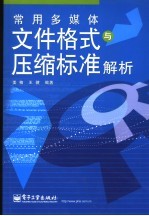 常用多媒体文件格式与压缩标准解析