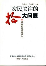 农民关注的十大问题  湖南农村调查报告