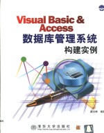 Visual Basic & Access数据库管理系统构建实例