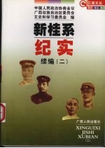 新桂系纪实  续编  2