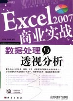 Excel 2007商业实战  数据处理与透视分析