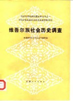 中国少数民族社会历史调查资料丛刊  维吾尔族社会历史调查