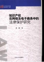 知识产权在网络及电子商务中的法律保护研究