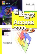 看图速学Access 2000中文版