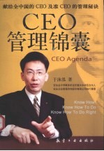 CEO管理锦囊