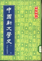 中国新文学史  下