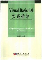 Visual Basic 6.0实践指导