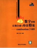 数字影视后期合成与特技特效 combustion 3教程