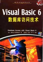 Visual Basic 6数据库访问技术