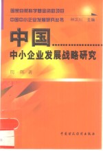 中国中小企业发展战略研究