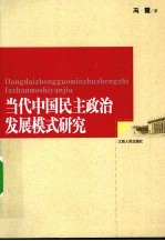 当代中国民主政治发展模式研究