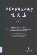 中英刑事诉讼研讨会论文集  中英文