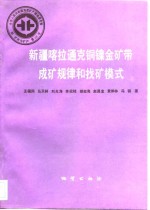 中华人民共和国地质矿产部地质专报  4  矿床与矿产  第23号  新疆喀拉通克铜镍金矿带成矿规律和找矿模式