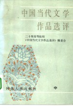 中国当代文学作品选评  中