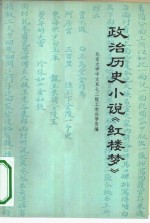 政治历史小说《红楼梦》