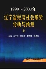 1999-2000年辽宁省经济社会形势分析与预测  上