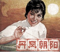 电影连环画册  丹凤朝阳